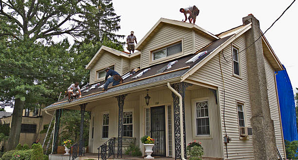 Best Metal Roofing Contractor  in Rural Hall, NC